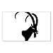 CafePress - Ibex Steinbock Steinbock Bergziege Schafe Alpen - Rechteckiger Stoßstangen-Aufkleber Autoaufkleber