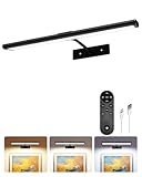 EZVALO Picture Light for Wall, 13'' Black Rechargeable 4800mAh Battery Lights Wireless with IR Remote, Magnetic LED Art Painting Light with 3 Color Temperatures, Display for Gallery, Living Room