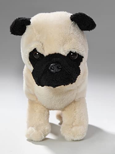 Carl Dick Peluche, Carlino (razza canina) in piedi...