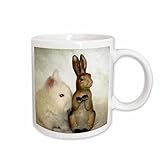 3dRose Lionhead rabbit and rabbit statue 15oz Mug