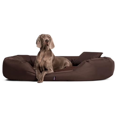tierlando® Hundebett Sammy Komfort mit herausnehmbarer 4-Kammer-Matratze und hohem Rand aus Polyester 600D für große und schwere Hunde Größe: 170x110cm | Farbe: 01 Braun