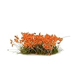 Gamers Grass