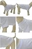 Lovelonglong Pet Clothing Dog Costumes Basic Blank T-Shirt Tee Shirts for Medium Large Dogs White XXL+ #2