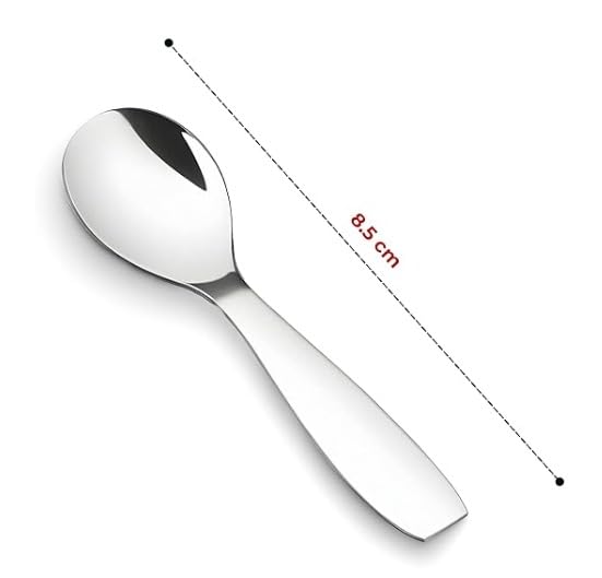Image of Stainless Steel 12 Pieces Stainless Steel Small Spoons for Container /Spice Jars | Masala Spoons | Small Spoon for Spices | Spoon Set |