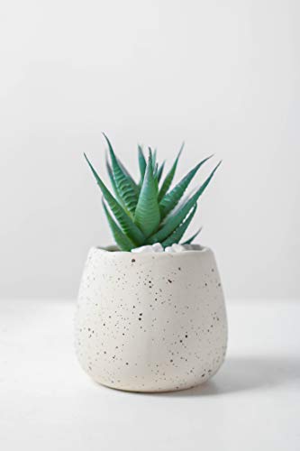 Cute Small Vintage Spot Ceramic Succulent Planters Decorative Mini Cactus Flower Plant Pot (Round CW)