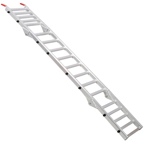 Rampa de aluminio plateada premium 1400 LBS/par