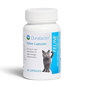 PRN Pharmacal Duralactin Feline Capsules – Cats & Kittens Joint Health and Relief Gelatin Capsules with Dried Milk Protein – 60Ct
