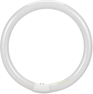 Osram Lumilux - Fluorescent bulb socket, L 32W/ 840, Cool white, Circular, 2100 lm, 9000 h