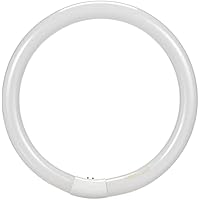 Osram Lumilux - Casquillo para lámpara fluorescente, L 32 W/ 840, blanco frío, circular, 2100 lm, 9000 h