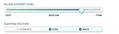 down dreams classic firm pillow