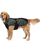 Protector del vientre: la chaqueta puede proteger eficazmente el vientre de la mascota.