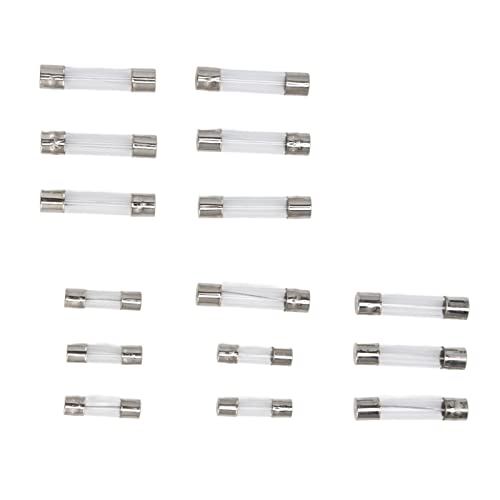 Sonew kit de fusibles rápidos de tubo de vidrio para auto 250 piezas, 15 especificaciones de 1 a 20A, caja plástica transparente miniatura 7
