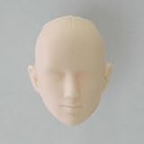 obitsu white  Obitsu 1/6 Scale 27cm Male Head 27HD-M03W White Skin by