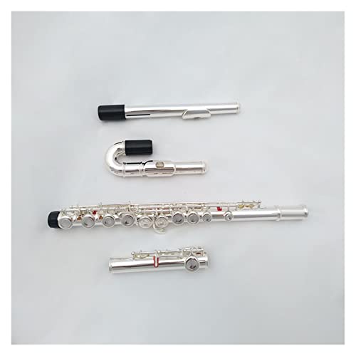 S q J[upCv ⃁bL t[gy _u}EXs[X C oh t t[gy S҃t[g