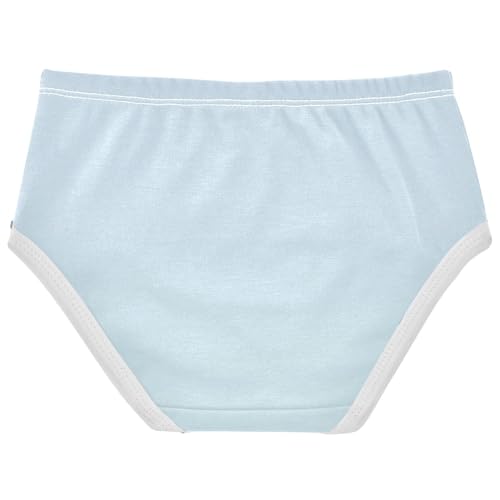 Joisal Cotton Toddler Underwear Floral Blue Pale Gradient Cute Panties Girl Bright Briefs Kids Undies 2t2