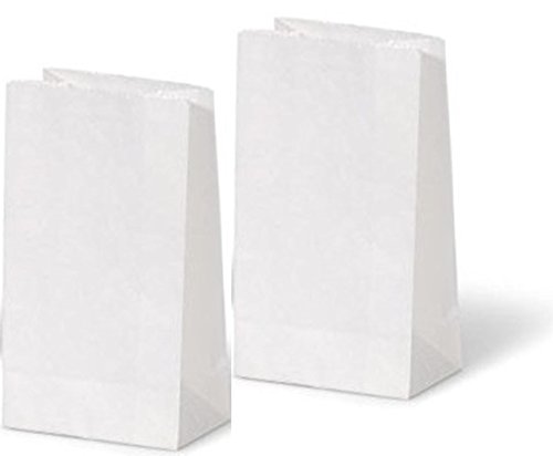 Big Value White Paper Crafting Bags 40/pk (3 pack)