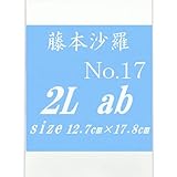 藤本沙羅 2L2枚-No.17