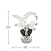 Dahlia Studios Potted Faux Artificial Flowers Arrangements Realistic White Phalaenopsis Orchid in Silver Pot Home Decoration Living Room Office Bedroom Bathroom Kitchen Dining Room 23