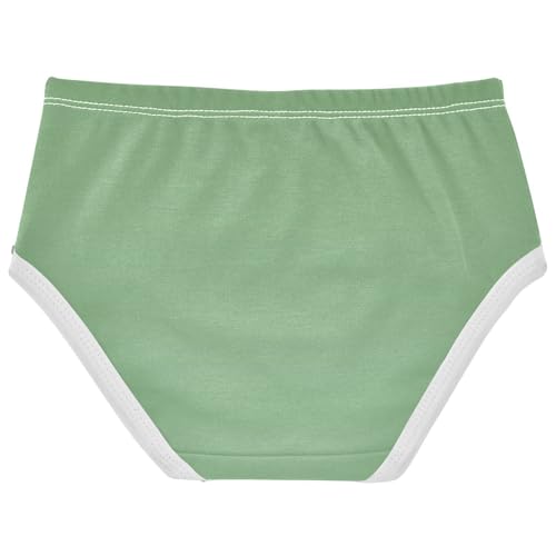 Joisal Dinosaur Green Dark Sea Gradient Girls Underwear Toddler 2t Cotton Panties for Girl Durable Briefs Undies Kids2