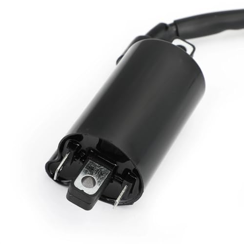 Bobina de encendido para Vulcan 500 y EN500C de 1996 a 2009 4