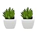 Home Trends Set of 8 Green Succulents Artificial, Mini Succulent Plants, Faux Succulents Potted in White Ceramic Pots