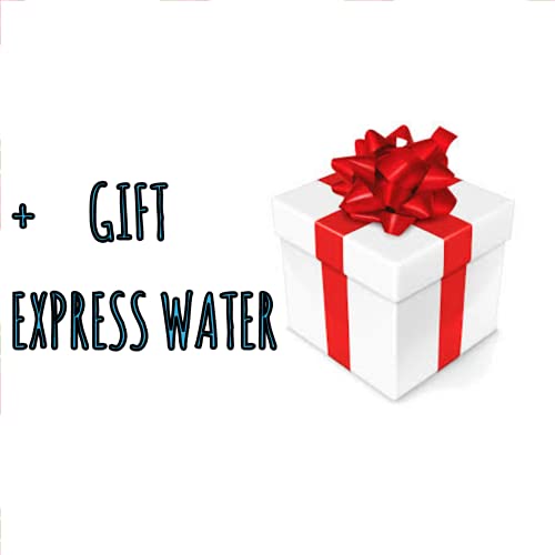 Express Water Lavello a Colonna Acciaio Inox AISI