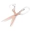 Clear With Rose Gold Metal