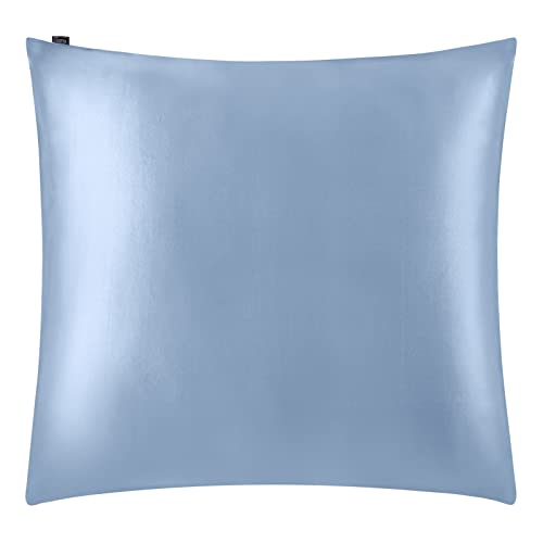 LilySilk Taie d'oreiller en Soie pour Cheveux 19 Momme 1 Pièce Housse de Coussin Soie Naturelle Soie de Mûrier Bio Anti-acariens Anti-Transpiration Anti-Ride Taie Oreiller Soie 65x65cm Bleu Clair