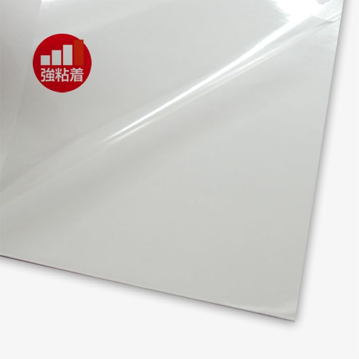 his様 転写シートシート ds21_a3100.jpg