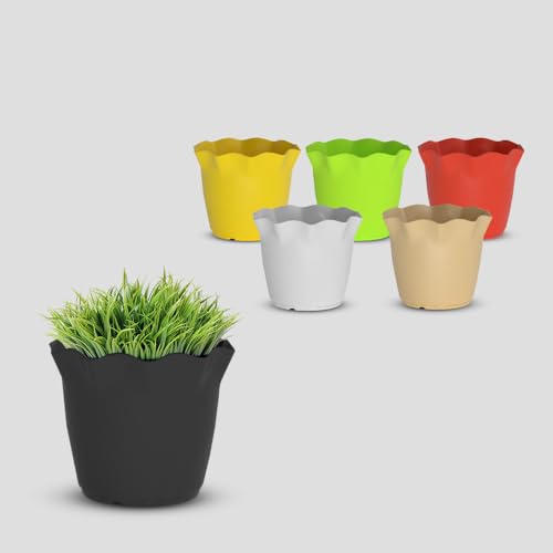 Image of YUCCABE ITALIA SHERA 4 Inch Plastic Flower Pot 6 Piece Set of Unbreakable Round Shape Planter for Home Garden Seedling, Indoor and Outdoor (Multicolor)