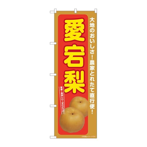 ̂ڂ艮H[ ̂ڂ 131582  W600×H1800mm 1 OO ̑ ɐ 󒍐Yi