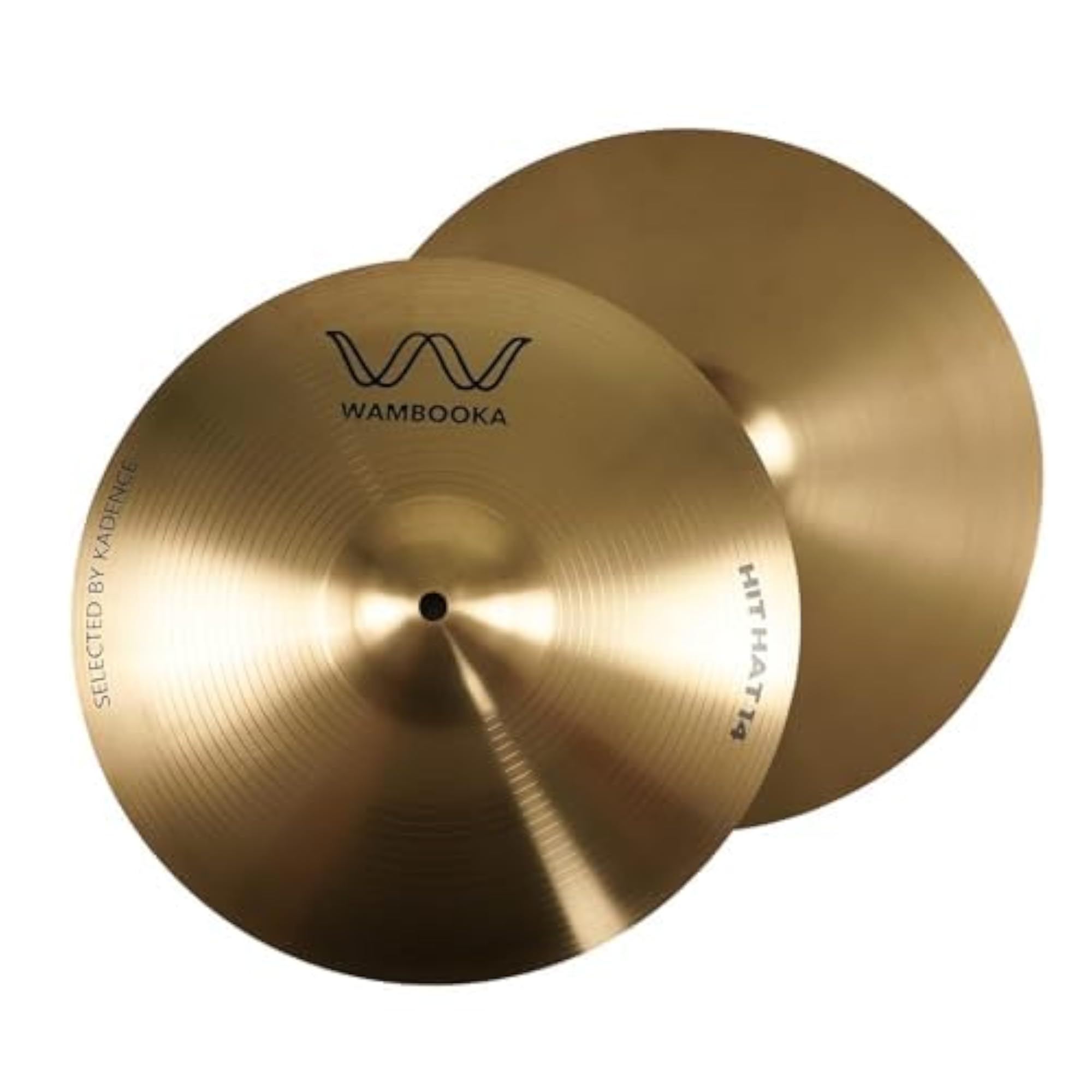CYHH-14N Home Series 14 Inch HCS Hi-Hat Cymbals