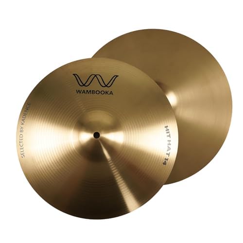 CYHH-14N | Home Series | 14 Inch HCS Hi-Hat Cymbals | Durable Alu...