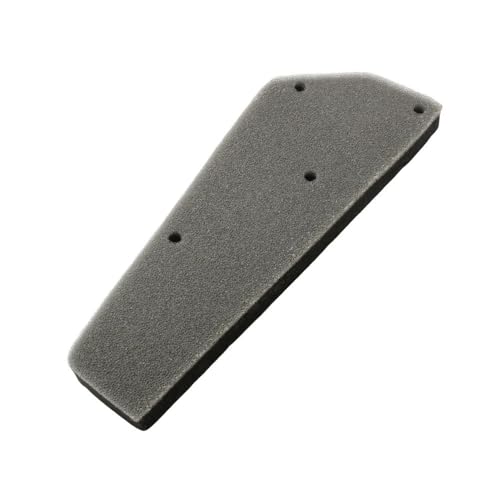 Éponge de filtre à air pour scooter Symply 50 et Fiddle 2 Orbit GY6