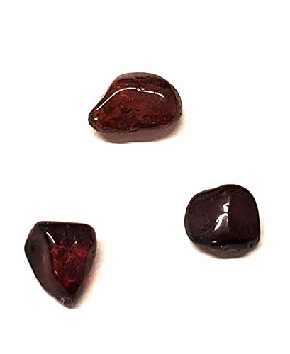 Ian and Valeri Co. Cherry Amber Tiny Loose Gemstones No Drilled Set of 3