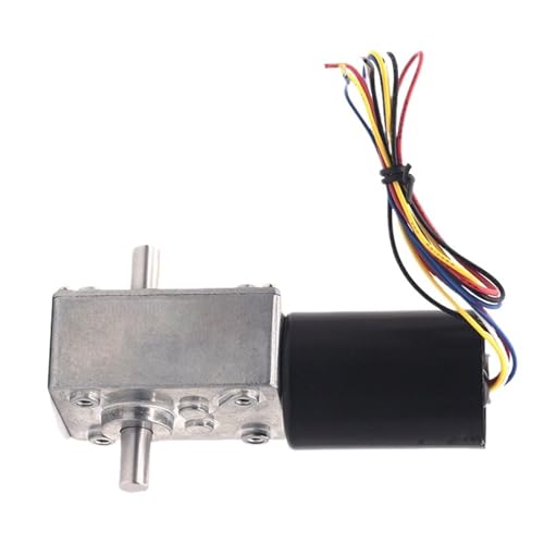Moteur CC sans balais 24V 260R avec double arbre et réducteur à vis sans fin