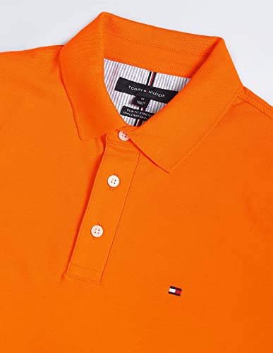 Image of Tommy Hilfiger Men Polo