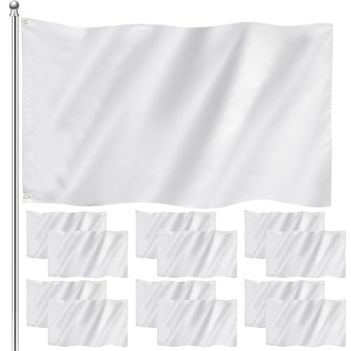 Drapeaux blancs vierges en polyester Boao lot de 12 pour décoration extérieure - 2