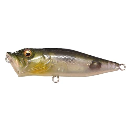 Amazon.co.jp: Megabass(メガバス): ポッパー