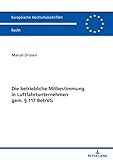 Die betriebliche Mitbestimmung in Luftfahrtunternehmen gem. § 117 BetrVG