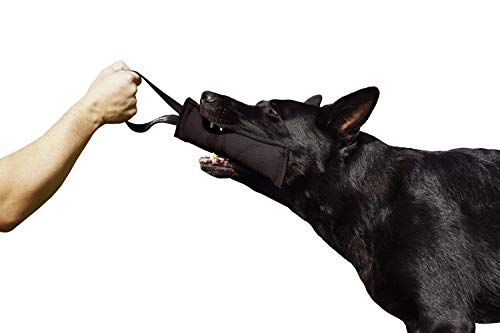 Dingo Gear Baumwolle-Nylon Beißwurst für Hundetraining IGP IPO Obiedence Schutzhund Hundesport 20 x 7 cm, 1 Griff Schwarz S00069