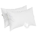 East Coast Bedding Elite European Down Dream - Soft and Fluffy Down Pillow, 800 Fill Power, Standard