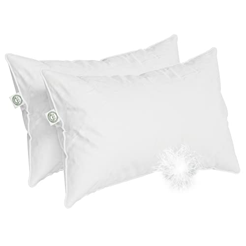East Coast Bedding Elite European Down Dream - Soft And Fluffy Down Pillow, 800 Fill Power, Standard Size 20X26 Inch Goose Down Pillows, Standard Pillow Set Of 2 #TOP5
