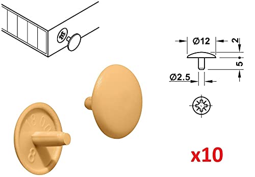 cyclingcolors 20 x cover cap screw caps head hole cover plastic countersunk head PZ2 furniture (pine), Clear, Kiefer - Image 2