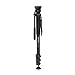 Benro A38FS2 Video Monopod Kit (A38FS2)