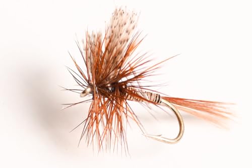 Blue Wing Olive Red Quill Dry Fly, 6-Pack (18#)