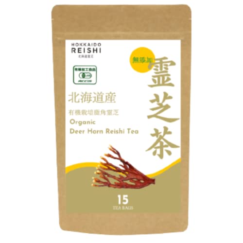 kCY pŒeB[obO15  喽 Y {Y