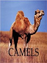 Library Binding Camels Book