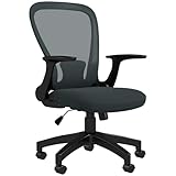 Vinsetto Mesh Office Chair, Ergonomic Computer Desk Chair with Flip-up Armrest, Lumbar Back Support, Adjustable Height, Swivel Wheels, Charcoal Grey