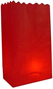 Quasimoon PaperLanternStore.com White Paper Luminaries/Luminary Lantern Bags Path Lighting (10 Pack)